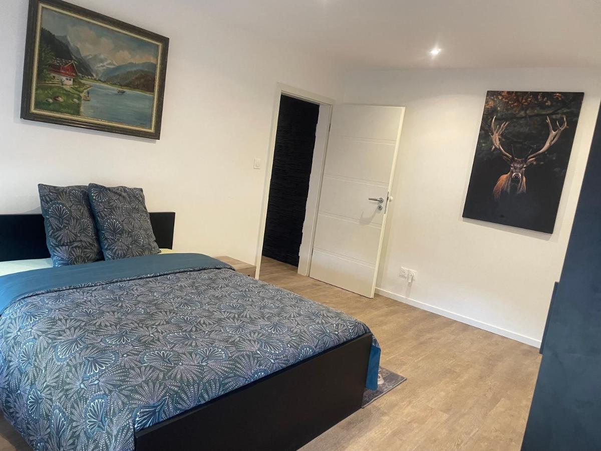 Superbe Appartement Au Rdc Avec Cheminee Villerupt Εξωτερικό φωτογραφία